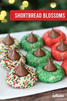 a white plate topped with colorful donuts covered in chocolate