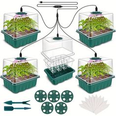 the kit includes four plants and tools to grow them