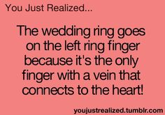 the wedding ring goes on the left ring finger because it's the only finger with a vein that connects to the heart