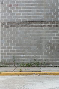 a red fire hydrant in front of a brick wall