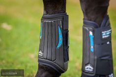 the legs and feet of a horse with blue accents on it's leg pads