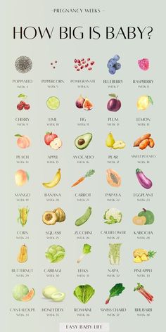 a poster showing different types of fruits and vegetables with the words how big is baby?