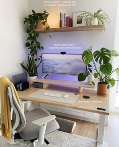 a desk with a computer and plants on it