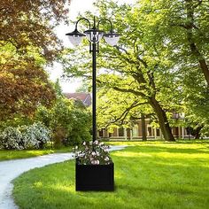 a lamp post in the middle of a grassy area with trees and flowers on it