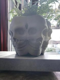 a white skull planter sitting on top of a table