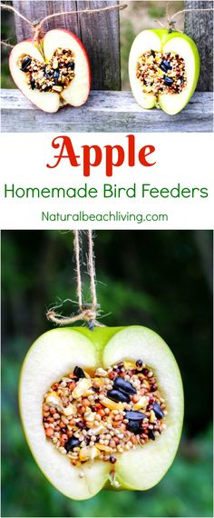 an apple bird feeder hanging from a rope with seeds in it and the words, apple homemade bird feeders