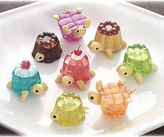 there are many small plastic turtle toys on the white plate with words in english and chinese