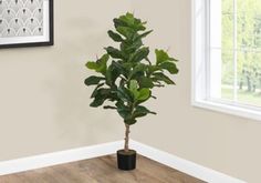 a potted plant sitting on top of a wooden floor in front of a window