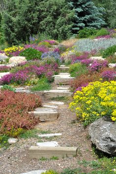 a stone path surrounded by colorful flowers and trees