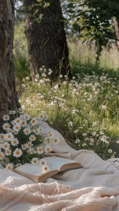 a book and some daisies on a blanket under a tree in the grass with trees behind it