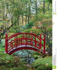 a red bridge over a small pond in a japanese garden