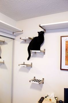 a black cat sitting on top of a shelf above a computer desk in an office