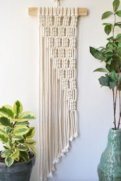 there is a plant and a macrame hanging on the wall