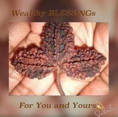 a person holding a leaf in their hand with the words, healthy blessings for you and yours