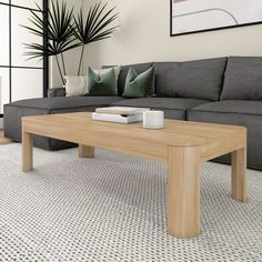 a living room with a couch, coffee table and potted plant