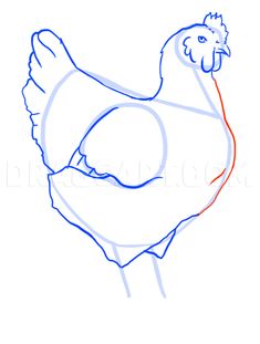 how to draw a chicken step by step