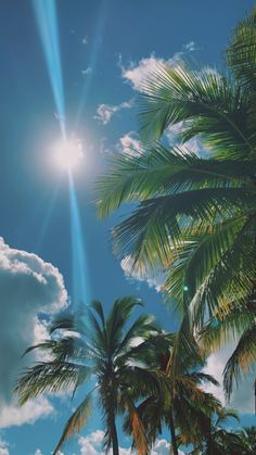 the sun shines brightly through palm trees in front of blue sky with clouds and bright beams