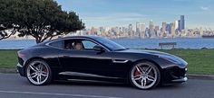 a black sports car parked in front of a park with the city skyline behind it