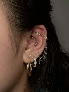 a close up of a person with ear piercings on their left and right sides