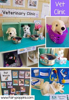 several pictures of vet clinic with dogs and food items on the table, along with photos of their pets