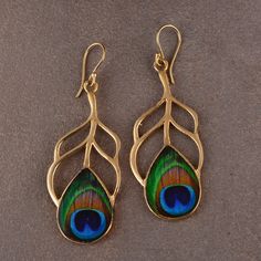 a pair of peacock feathers hanging from gold earrings