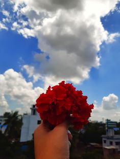 a hand holding up a red flower under a cloudy blue sky