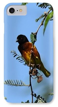 a bird perched on top of a tree branch with leaves in the foreground and blue sky in the background