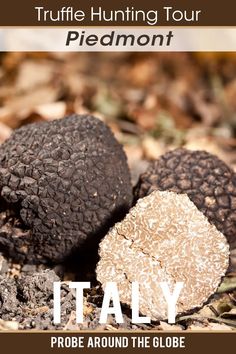 three black truffes on the ground with text that reads, it'lly probe around the globe