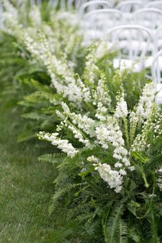 rows of white chairs lined up next to each other with flowers in the foreground