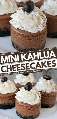 mini kahlua cheesecakes with chocolate chips and whipped cream on top are the perfect dessert