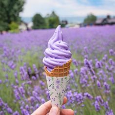 a hand holding an ice cream cone with purple frosting in front of lavender flowers