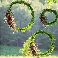 some green plants hanging from strings in the shape of rings with flowers and leaves on them