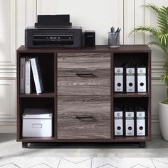 an office cabinet with drawers and printer on top, next to a potted plant