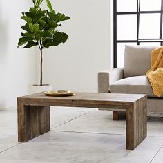 a living room with a couch, coffee table and potted plant