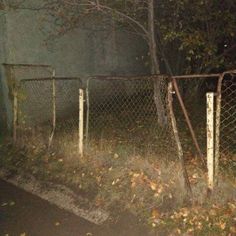 a fence that is next to a tree and some leaves on the ground in front of it