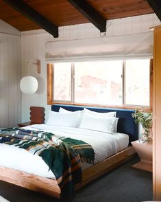 a bed sitting under a window in a bedroom next to a potted plant on top of a table