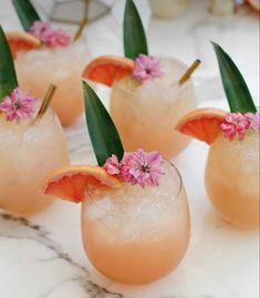 four glasses filled with pink grapefruit and garnished with flowers on the rim