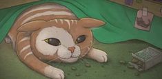 an orange and white cat laying on the ground next to a green blanket with its eyes wide open