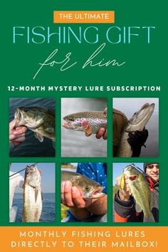 12-Month Mystery Lure Subscription Each month, they'll receive a hand-picked selection of premium freshwater fishing lures from our shop tailored to keep their fishing adventures fresh and exciting. Perfect for birthdays, holidays, or just because!