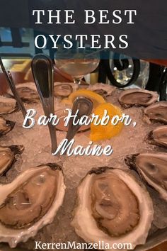 the best oysters in bar harbor, maine