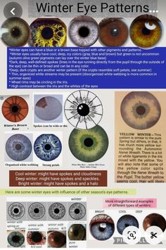 Winter Eye Pattern Color Analysis, Seasonal Eye Patterns, Spring Eye Pattern Color Analysis, Bright Winter Eyes, Seasonal Color Analysis Eyes, Winter Eye Pattern, Spring Eye Pattern, Color Analysis Eye Pattern, Eye Pattern Color Analysis