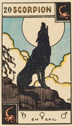 a tarot card with the image of a wolf on it's back side