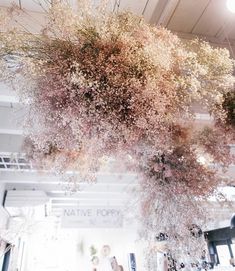 pink flowers are hanging from the ceiling in a room with white walls and beams above