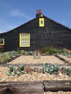 a black building with yellow windows and plants in the foreground on graveled ground