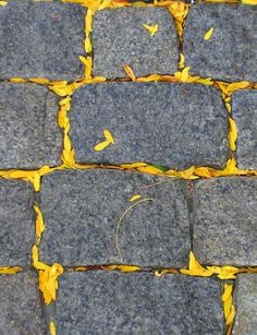 the sidewalk has yellow leaves on it and is lined with gray stone blocks that have been cut in half