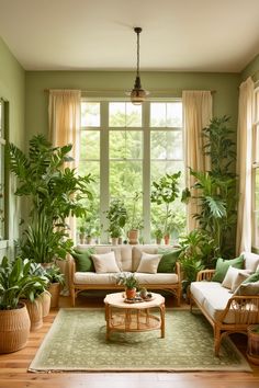 a living room filled with furniture and lots of green plants in front of large windows