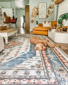 a dog laying on top of a rug in a living room