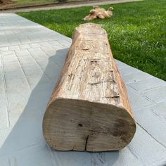 a piece of wood sitting on top of a cement slab