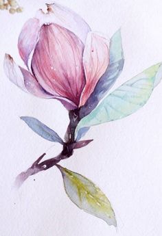 Minimalistic Tattoo Ideas, Magnolia Watercolor, Watercolor Magnolia, Minimalistic Tattoo, Lilies Drawing, Beautiful Abstract Art, Diy Watercolor Painting, Minimalist Tattoos, Watercolor Flower Art