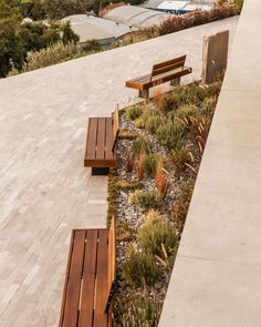 three wooden benches sitting next to each other on a cement walkway near grass and bushes